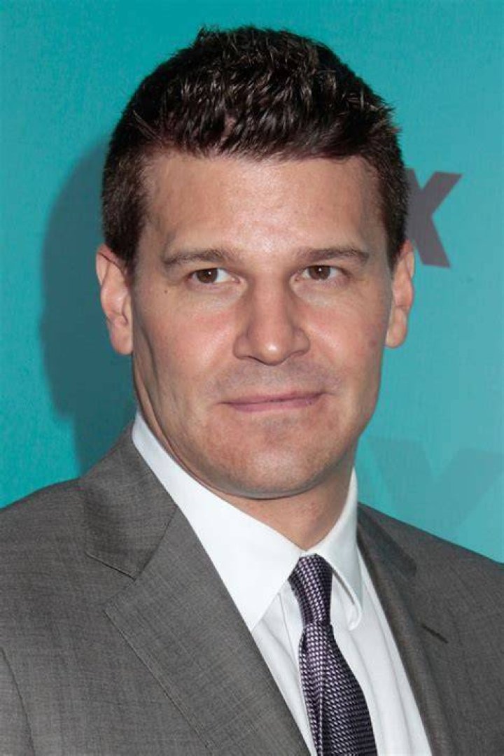 David Boreanaz filmograf&iacute;a de pel&iacute;culas y series Estamos Rodando