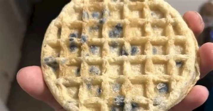 This ‘blueberry’ waffle has gone viral for a berry awful reason Flipboard