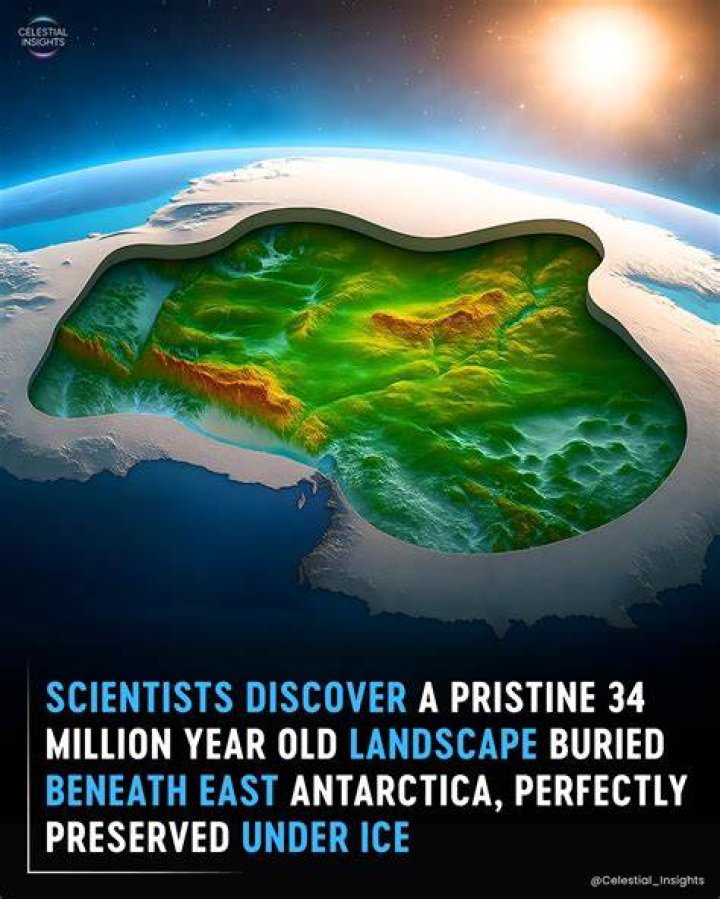 Unprecedented Insights For The Curious
